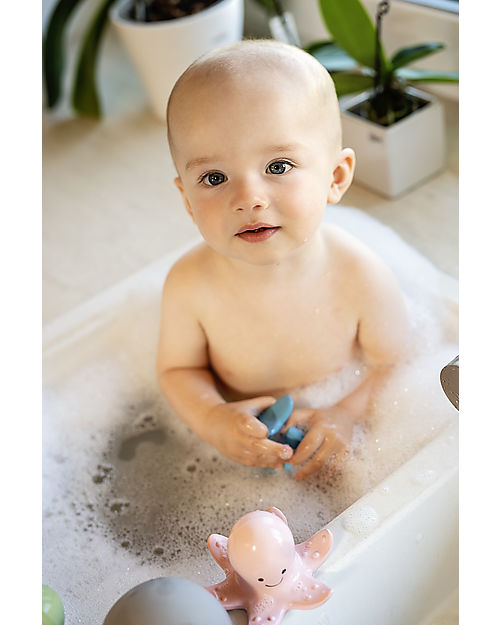 Tikiri 3-in-1 Sonaglio Delfino, Massaggiagengive, Gioco da Bagno, Ocean Buddies, Confezione Regalo - 100% Caucciù Naturale Giochi Bagno