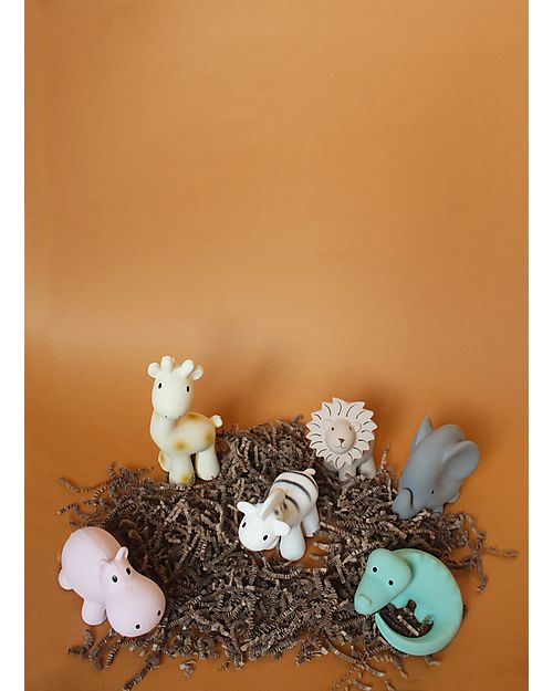 Tikiri 3-in-1 Sonaglio Giraffa, Massaggiagengive, Gioco da Bagno, My First Zoo - Confezione Regalo - 100% Caucciù Naturale Giochi Bagno