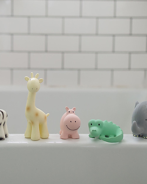 Tikiri 3-in-1 Sonaglio Ippopotamo, Massaggiagengive, Gioco da Bagno, My First Zoo - 100% Caucciù Naturale Giochi Bagno