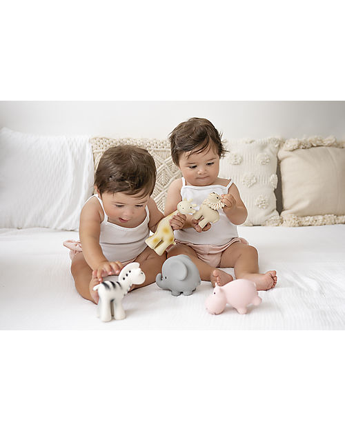 Tikiri 3-in-1 Sonaglio Ippopotamo, Massaggiagengive, Gioco da Bagno, My First Zoo - Confezione Regalo - 100% Caucciù Naturale Giochi Bagno