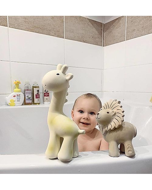 Tikiri 3-in-1 Sonaglio Leone, Massaggiagengive, Gioco da Bagno, My First Zoo - Confezione Regalo - 100% Caucciù Naturale Giochi Bagno