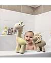 Tikiri 3-in-1 Sonaglio Leone, Massaggiagengive, Gioco da Bagno, My First Zoo - Confezione Regalo - 100% Caucciù Naturale Giochi Bagno