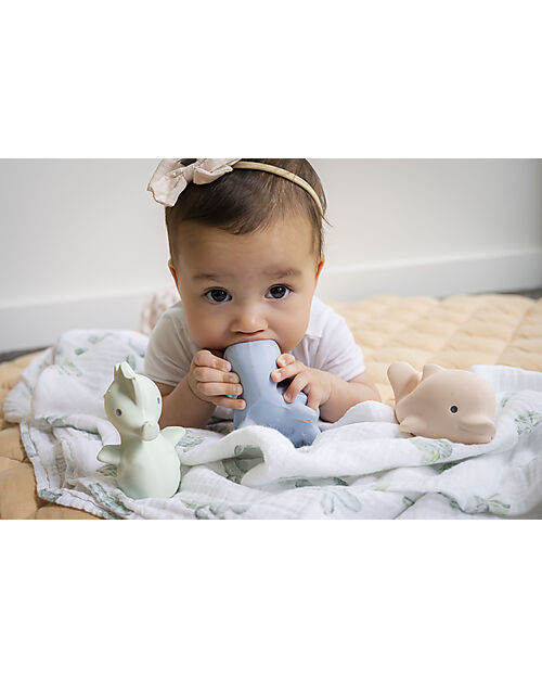 Tikiri 3-in-1 Sonaglio - Massaggiagengive - Gioco da Bagno - Set 3 pz - My First Ocean - 100% Caucciù Naturale Giochi Bagno