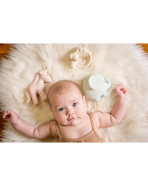 Tikiri 3-in-1 Sonaglio - Massaggiagengive - Gioco da Bagno - Set 3 pz - My First Safari - 100% Caucciù Naturale Giochi Bagno