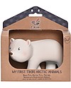Tikiri 3-in-1 Sonaglio Orso Polare - Massaggiagengive - Gioco da Bagno - My First Arctic Animals - Confezione Regalo - 100% Caucciù Naturale Giochi Bagno