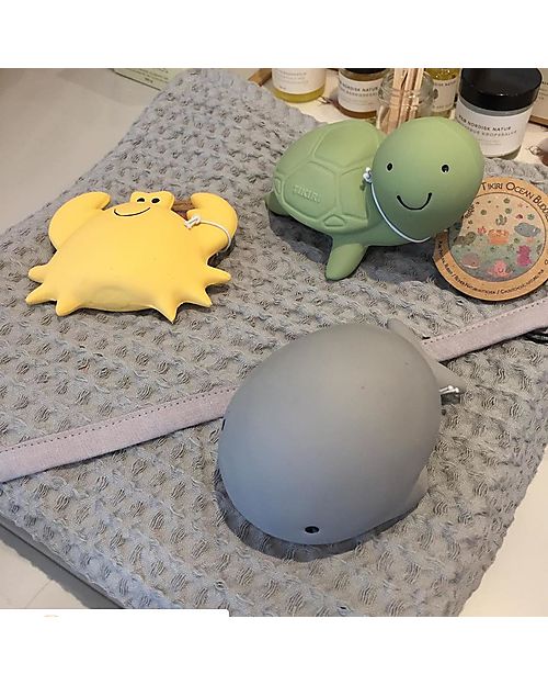 Tikiri 3-in-1 Sonaglio Tartaruga, Massaggiagengive, Gioco da Bagno, Ocean Buddies, Confezione Regalo - 100% Caucciù Naturale Giochi Bagno