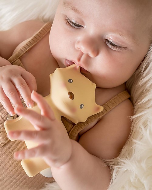 Tikiri 3-in-1 Sonaglio Volpe, Massaggiagengive, Gioco da Bagno, My First Arctic Animals - 100% Caucciù Naturale Giochi Bagno