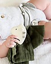 Tikiri DouDou Massaggiagengive Zebra - Verde Oliva -Caucciù Naturale e Cotone Bio Doudou