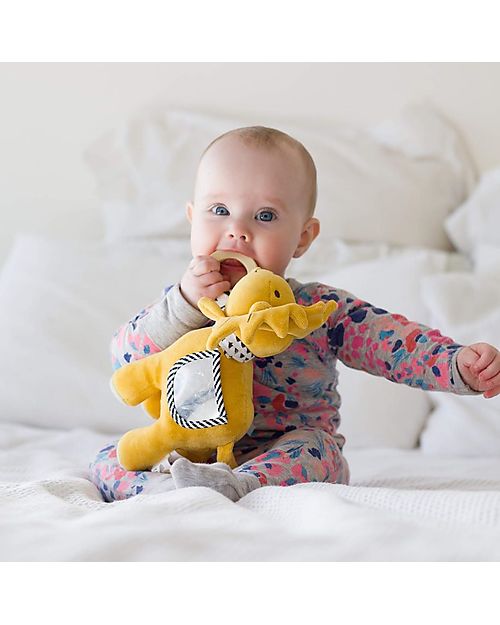 Tikiri Gioco Multisensoriale Leone, 24 cm - Cotone Bio Sonagli