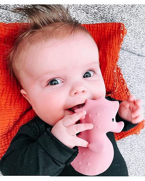 Tikiri Ocean Buddies - Cavalluccio Marino - 3-in-1 Sonaglio, Massaggiagengive, Gioco da Bagno - 100% Caucciù Naturale Giochi Bagno