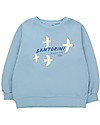 Tiny Cottons Felpa Santorini - Celeste - 100% Cotone Bio Felpe