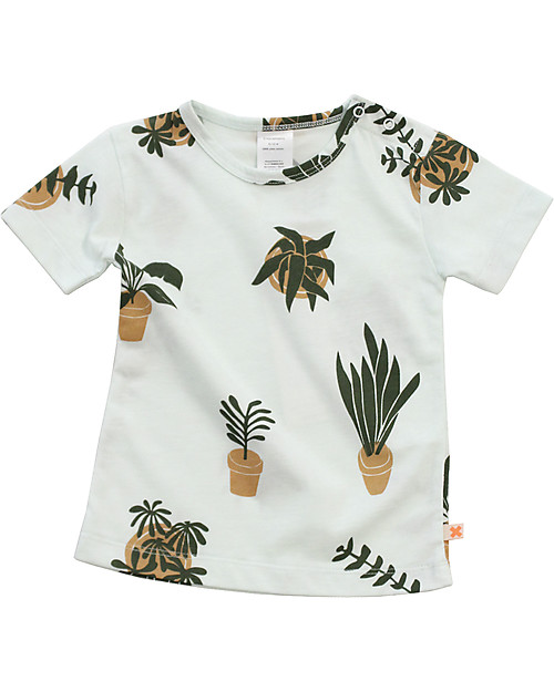 Tiny Cottons T-Shirt Botanical, Azzurro Chiaro - 100% Cotone Pima T-shirt