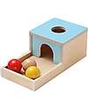 Tooky Toy Scatola Educativa Multisensoriale - 22 Pezzi - 32,5 x 27 x 14 cm - 6m+ Giochi Sensoriali_