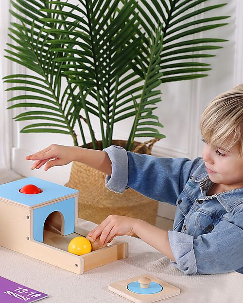 Tooky Toy Scatola Educativa Multisensoriale - 22 Pezzi - 32,5 x 27 x 14 cm - 6m+ Giochi Sensoriali_
