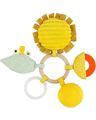 Trixie Anello Multi Attività Mr Leone - Stimola Vista Udito e Tatto Giochi Per Neonati