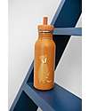 Trixie Borraccia in Acciaio Inox - 500 ml - Mr Fox - Arancio Borracce non Termiche