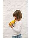 Trixie Borraccia in Acciaio Inox - 500 ml - Mr Lion - Giallo Borracce non Termiche