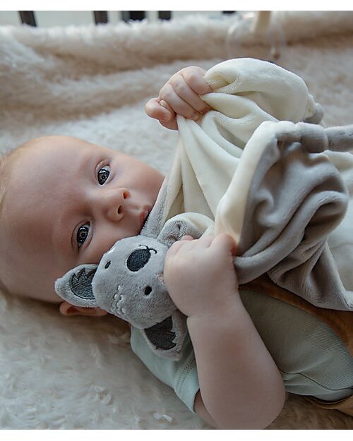 Tryco Baby Doudou Kyle il Koala - 40x20 cm Doudou