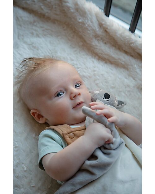 Tryco Baby Doudou Kyle il Koala - 40x20 cm Doudou