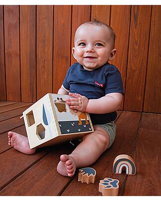 Tryco Baby Scatola Forme Geometriche a Incastro in Legno - 7 Forme Diverse - 12+ m Incastri in Legno