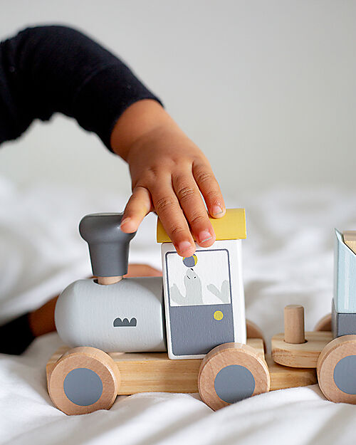 Tryco Baby Trenino Giocattolo in Legno - 11 Pezzi - 18+ m Macchine e Trenini  in Legno