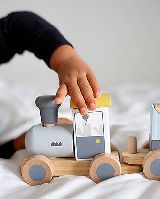 Tryco Baby Trenino Giocattolo in Legno - 11 Pezzi - 18+ m Macchine e Trenini  in Legno