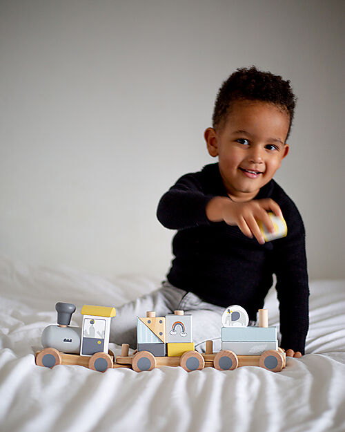 Tryco Baby Trenino Giocattolo in Legno - 11 Pezzi - 18+ m Macchine e Trenini  in Legno