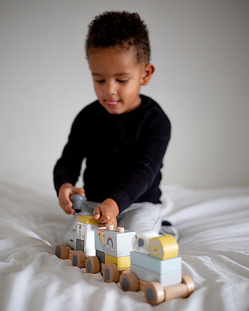 Tryco Baby Trenino Giocattolo in Legno - 11 Pezzi - 18+ m Macchine e Trenini  in Legno