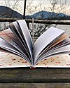 VerbaVolant Fiabe in Rosso (nuova edizione) di Naia/Rossetti Libri