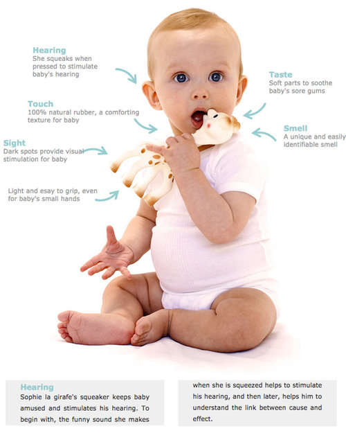 Vulli So’ Pure Sophie La Giraffa - 100% Gomma Naturale Sonagli