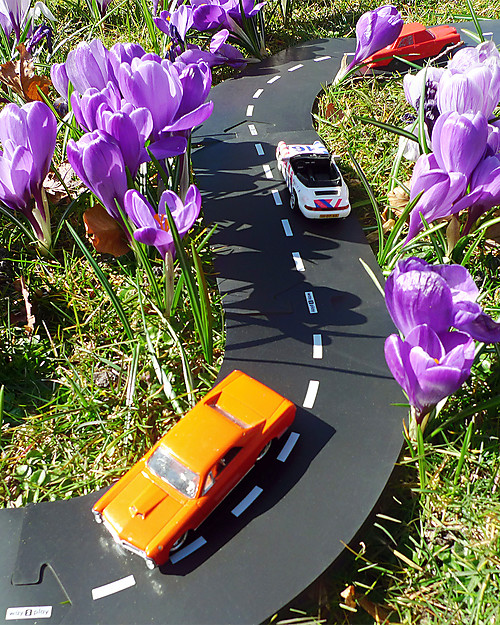 Waytoplay Pista Flessibile per Macchinine Waytoplay, 12 pezzi - Si adatta a tutte le superfici! Macchine e Trenini  in Legno