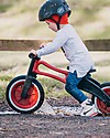 Wishbone Design Studio Wishbone Bike Re2 2in1 - Rosso - Bici Pedagogica che Cresce col tuo Bimbo Da 18 mesi a 6 anni - Riciclata e riciclabile! Biciclette senza Pedali