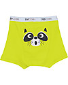 Zoocchini Boxer Bimbo Amici Animali - Pacco da 3, 100% cotone bio Slip