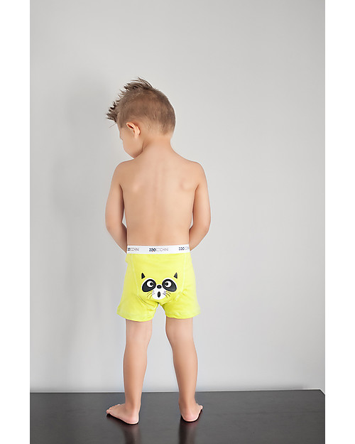Zoocchini Boxer Bimbo Amici Animali - Pacco da 3, 100% cotone bio Slip