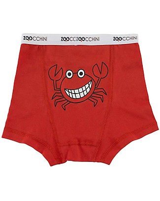 Zoocchini Boxer Bimbo Amici Dentoni - Pacco da 3, 100% cotone bio Mutandine da Apprendimento