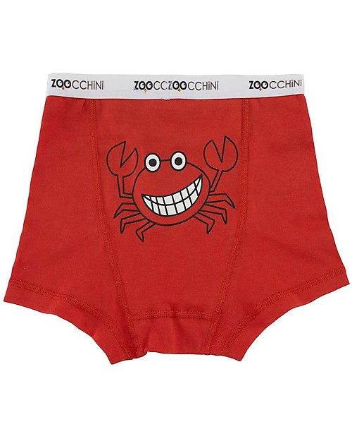 Zoocchini Boxer Bimbo Amici Dentoni - Pacco da 3, 100% cotone bio Slip