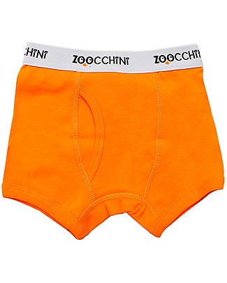 Zoocchini Boxer Bimbo - Space Force - Pacco da 3 - 100% Cotone Bio Mutandine da Apprendimento