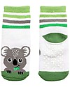 Zoocchini Calzini Antiscivolo Grip+Easy Kai il Koala - Pacco da 3 - 0-24 mesi Calzini Antiscivolo