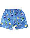 Zoocchini Costume da Bagno a Pantaloncino - Tessuto Traspirante - Devin il Dinosauro - UPF 50+ Boxer Mare