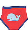 Zoocchini Mutandine Imbottite da Apprendimento Bimbo, Amici dell'Oceano - Pacco da 3 - 100% cotone bio Slip