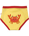 Zoocchini Mutandine Imbottite da Apprendimento Bimbo, Amici dell'Oceano - Pacco da 3 - 100% cotone bio Slip