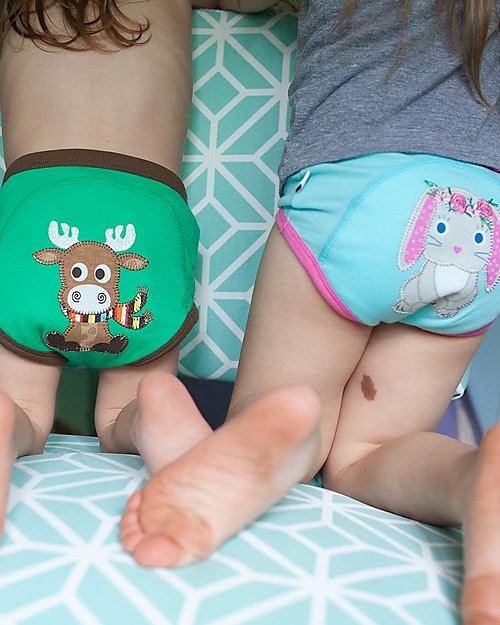 Zoocchini Mutandine Imbottite da Apprendimento Principesse del Bosco, Bimba - Pacco da 3 - 100% cotone bio Slip