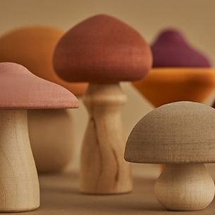gioco-in-legno-funghi-educativo