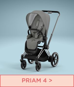 priam-4