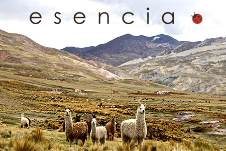 Vendita Esencia online