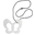 Massaggiagengive Farfalla Bianco e Collana di Allattamento 2 in 1 - Perla - 100% Silicone Alimentare Massaggiagengive Farfalla Bianco e Collana di Allattamento 2 in 1 - Perla - 100% Silicone Alimentare