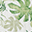 Trapunta Baby 120 x 120 cm, Tropical Leaf - 4 strati di mussola di cotone 100% Trapunta Baby 120 x 120 cm, Tropical Leaf - 4 strati di mussola di cotone 100%
