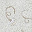 Tappeto Lavabile Giardino Inglese, Avorio - 100% Cotone (140x210cm) Tappeto Lavabile Giardino Inglese, Avorio - 100% Cotone (140x210cm)