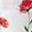 Maxi Copertina Swaddle Milleusi - Wild Mums - 100% Mussola di Cotone Maxi Copertina Swaddle Milleusi - Wild Mums - 100% Mussola di Cotone