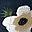 Mussola Milleusi - 100 % bambù - 120 x 120 cm - White Anemone Mussola Milleusi - 100 % bambù - 120 x 120 cm - White Anemone